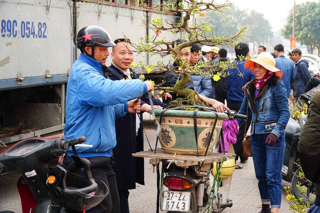 Ảnh: Hồ Đình Chiến