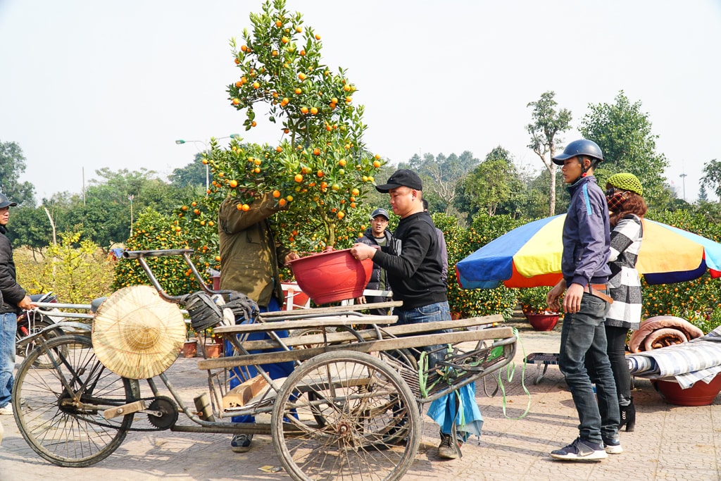 Ảnh: Hồ Đình Chiến