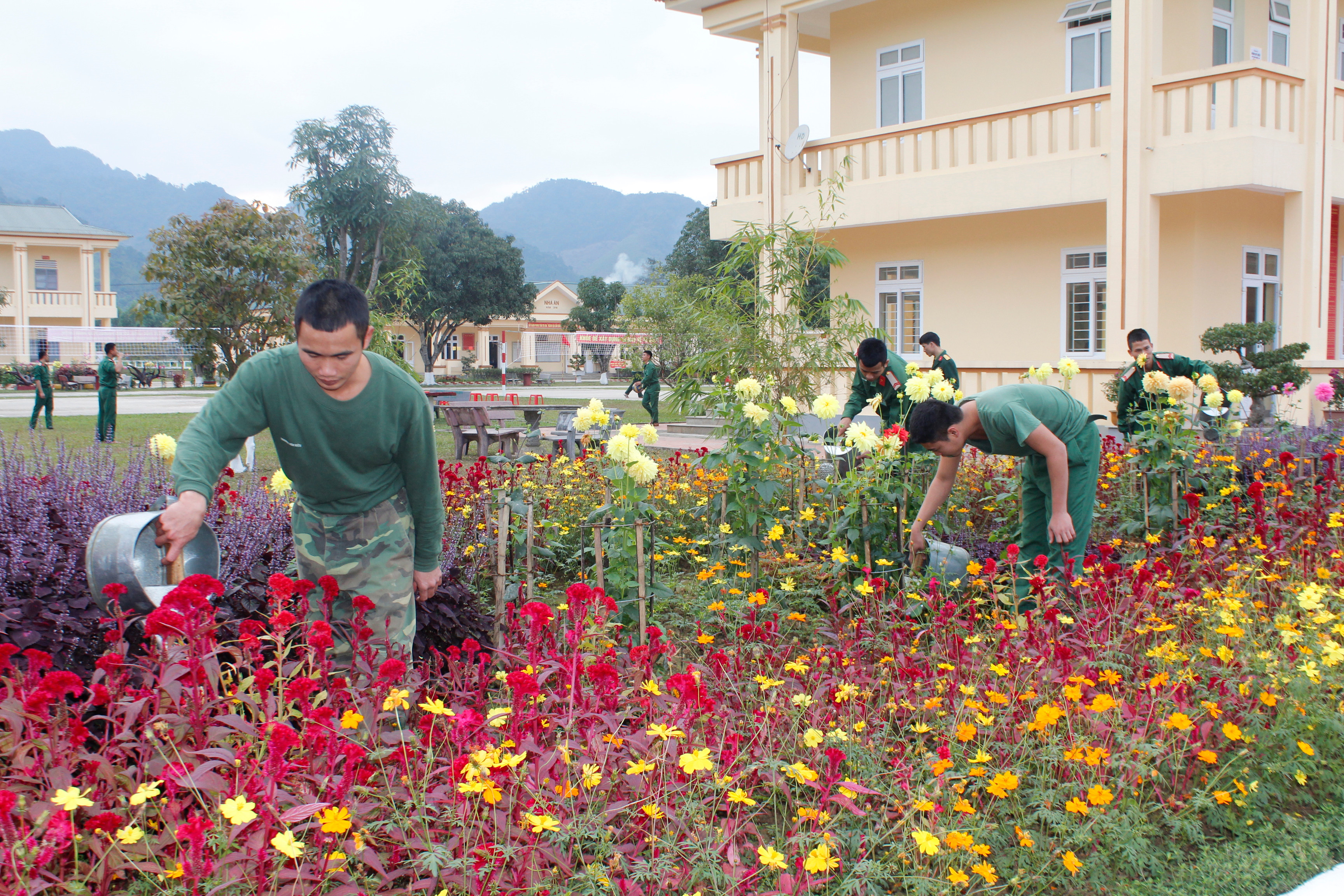 Để đón Tết bộ đội các đơn vị đã tập trung chăm sóc bồn hoa, cây cảnh. Đây là vườn hoa của Tiểu đoàn 4, Trung đoàn 335. Ảnh: Lê Tường Hiếu 
