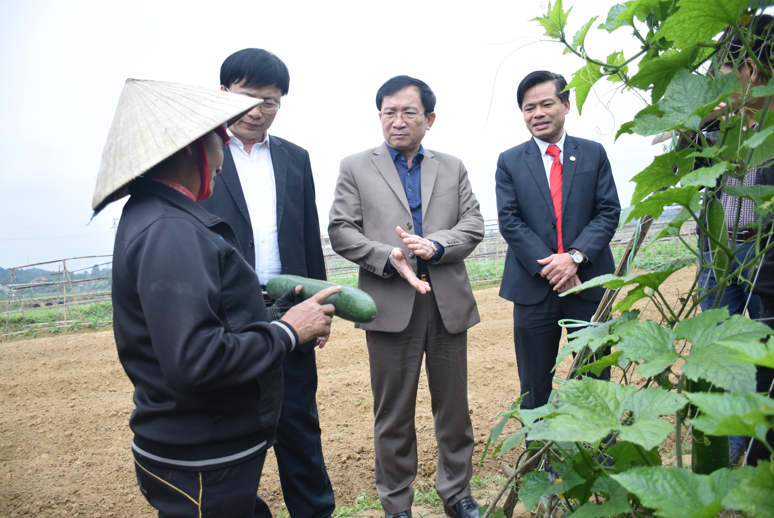 Lãnh đạo UBND tỉnh cùng đoàn thẩm định NTM của tỉnh thăm quan cánh đồng sản xuất rau an toàn tại xã Vân Diên, huyện Nam Đàn. Ảnh: Xuân Hoàng