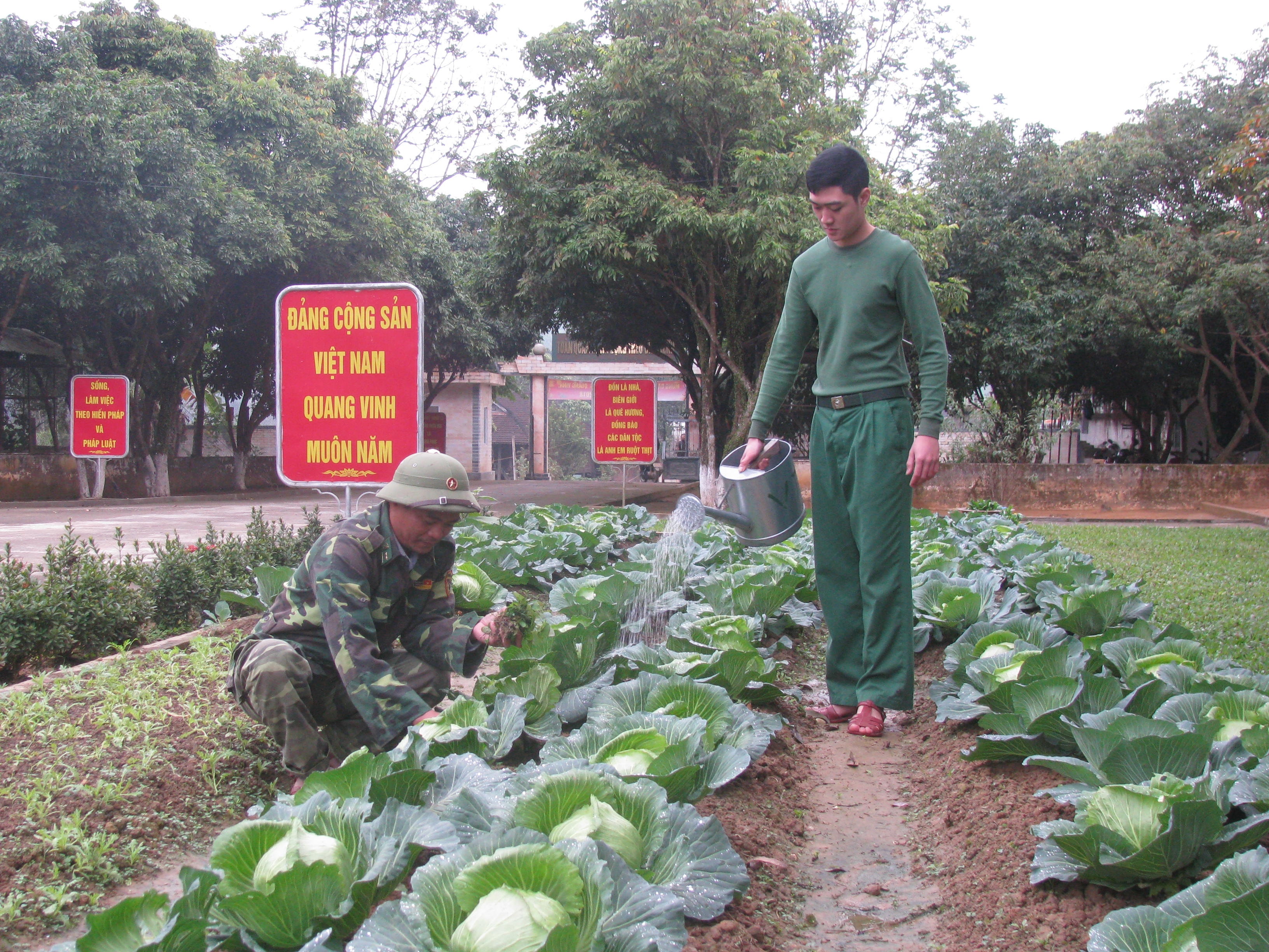 Các chiến sỹ biên phòng chăm vườn rau sạch để cung cấp thực phẩm cho ngày Tết ở vùng biên. Ảnh: Hùng Phong