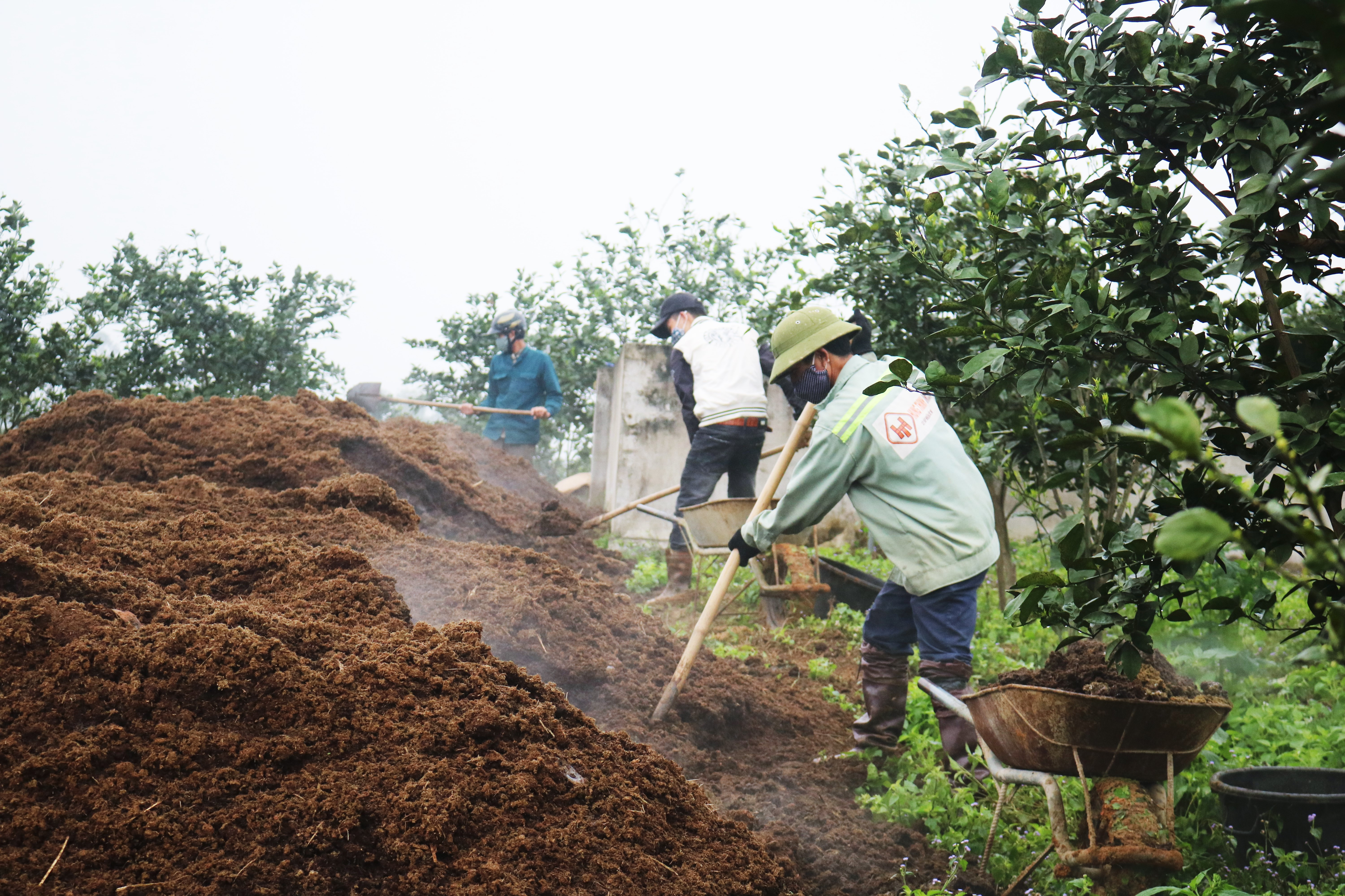 Gia đình anh Đinh Xuân Thông ở xóm Bắc Sơn, xã Thanh Mai đang bón phân cho diện tích cam được trồng dặm thêm. Ảnh: Diệp Phương