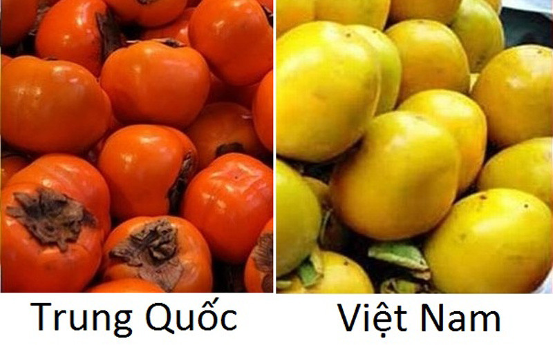 * Hồng Việt Nam quả có hình dạng tròn, dẹt trơn (giống trứng gà), phần cuống có nhiều đốm đen, không có rãnh; vỏ có màu nhạt và có vết thâm; kích thước quả nhỏ và không đều màu. * Hồng Trung Quốc quả tròn đều, to dẹt hơi vuông, có bốn khía; kích thước to và đều nhau; vỏ bóng đẹp, màu đỏ, cam tươi; hường không có vết xước.