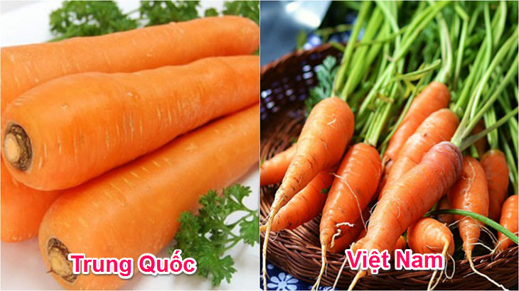 *Cà rốt Việt có cùi, cuống lá thường còn nguyên, đôi lúc còn rễ tỏa bao quanh củ. Củ nhỏ, có màu vàng nhạt, kích thước không đều nhau, không căng láng. *Cà rốt Trung Quốc không cùi, màu cam đậm, tươi sáng. Kích thước to, suôn và các củ khá đều. Lá thường được tỉa gọn hay cắt sạch.