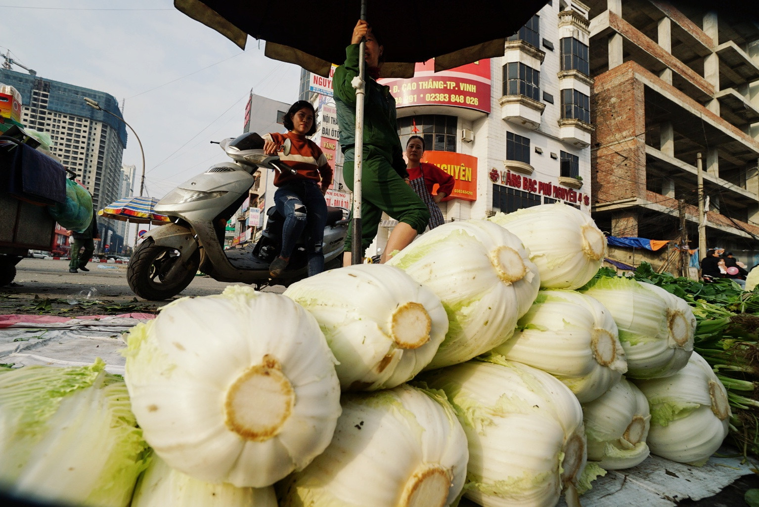 Một hàng rau cải thảo. Ảnh: Lê Thắng