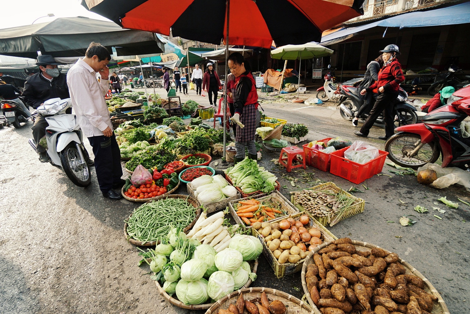 Tại chợ Vinh, nhiều hàng rau củ quả họp từ sáng mồng 2 Tết. Ảnh: Lê Thắng