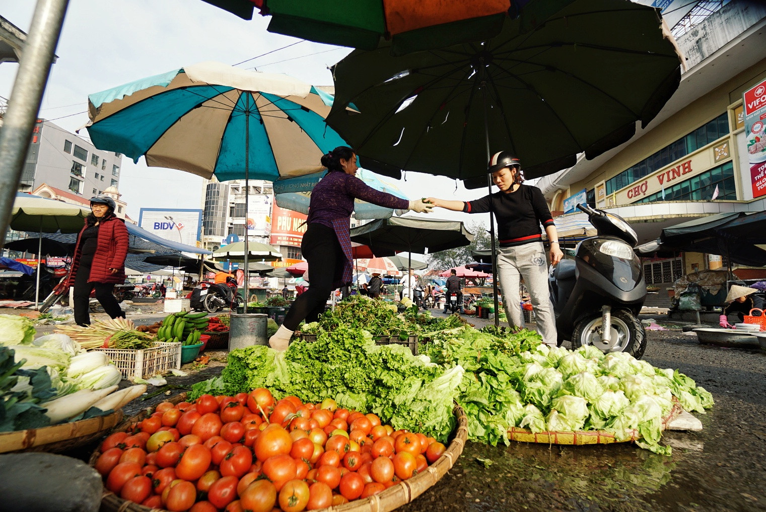 hàng rau chợ Vinh. Ảnh Lê Thắng