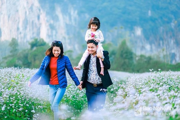 Ngày Tết, du khách đến cánh đồng hoa dại ở huyện Anh Sơn, Nghệ An để lưu lại những khoảnh khắc đẹp. Ảnh tư liệu