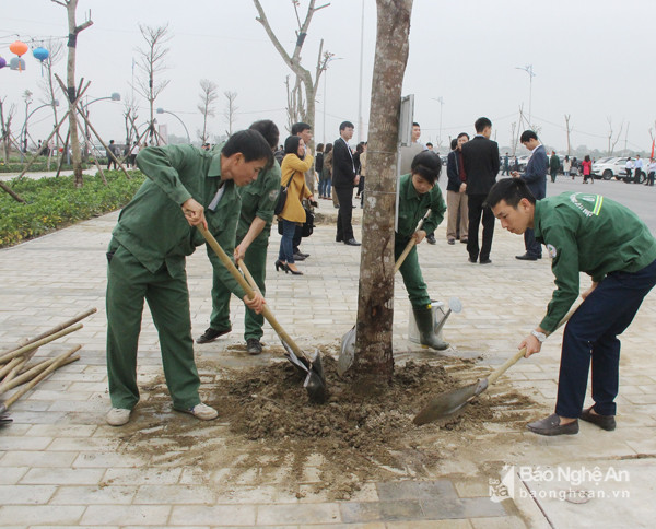 Công nhân Công ty CP Công viên cây xanh thành phố Vinh tham gia trồng cây xanh sau lễ phát động