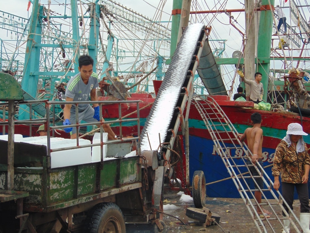 Ngư dân Quỳnh Lưu vận chuyển đá lạnh lên bờ chuẩn bị cho chuyển biến mới. Ảnh: Thanh Toàn