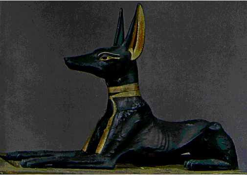 Trong đời sống văn hóa, tâm linh, người Ai Cập đã sử dụng loài chó để làm biểu tượng cho Thần Chết Anubis.