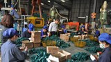 Hội doanh nghiệp tiêu biểu Nghệ An đăng ký gần 12 tỷ đồng ủng hộ Tết vì người nghèo