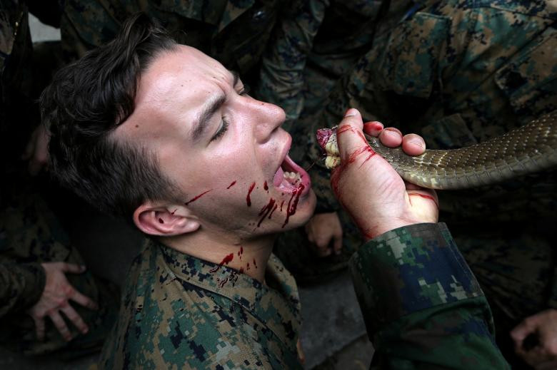 Một Thủy quân lục chiến Hoa Kỳ uống máu của một con rắn hổ mang trong một bài tập sống sót trong rừng như một phần của cuộc tập trận chung Cobra Gold 2018 (CG18) tại một căn cứ quân sự ở tỉnh Chonburi, Thái Lan