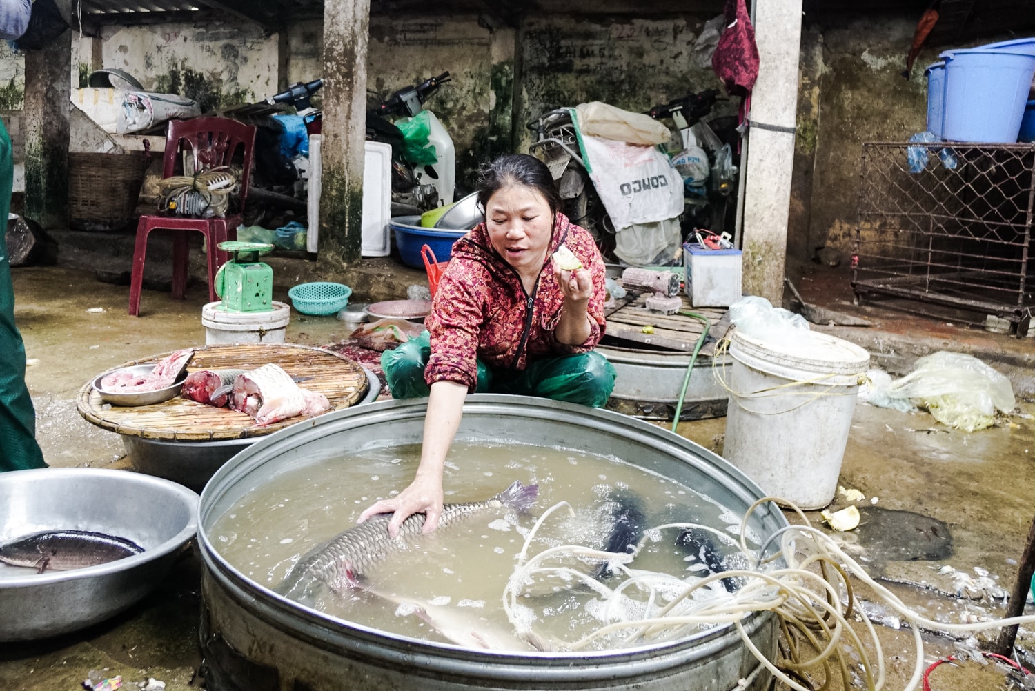 Chợ Sa Nam còn được biết đến là nơi bán nhiều cá tôm đánh bắt từ sông Lam. Ảnh: Lê Thắng