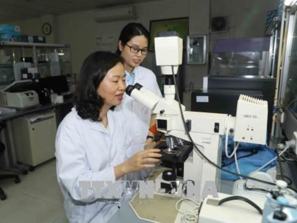 Phó giáo sư Trần Vân Khánh (ngồi bên phải) nghiên cứu trong phòng thí nghiệm cùng đồng nghiệp. Ảnh: Phương Hoa/TTXVN