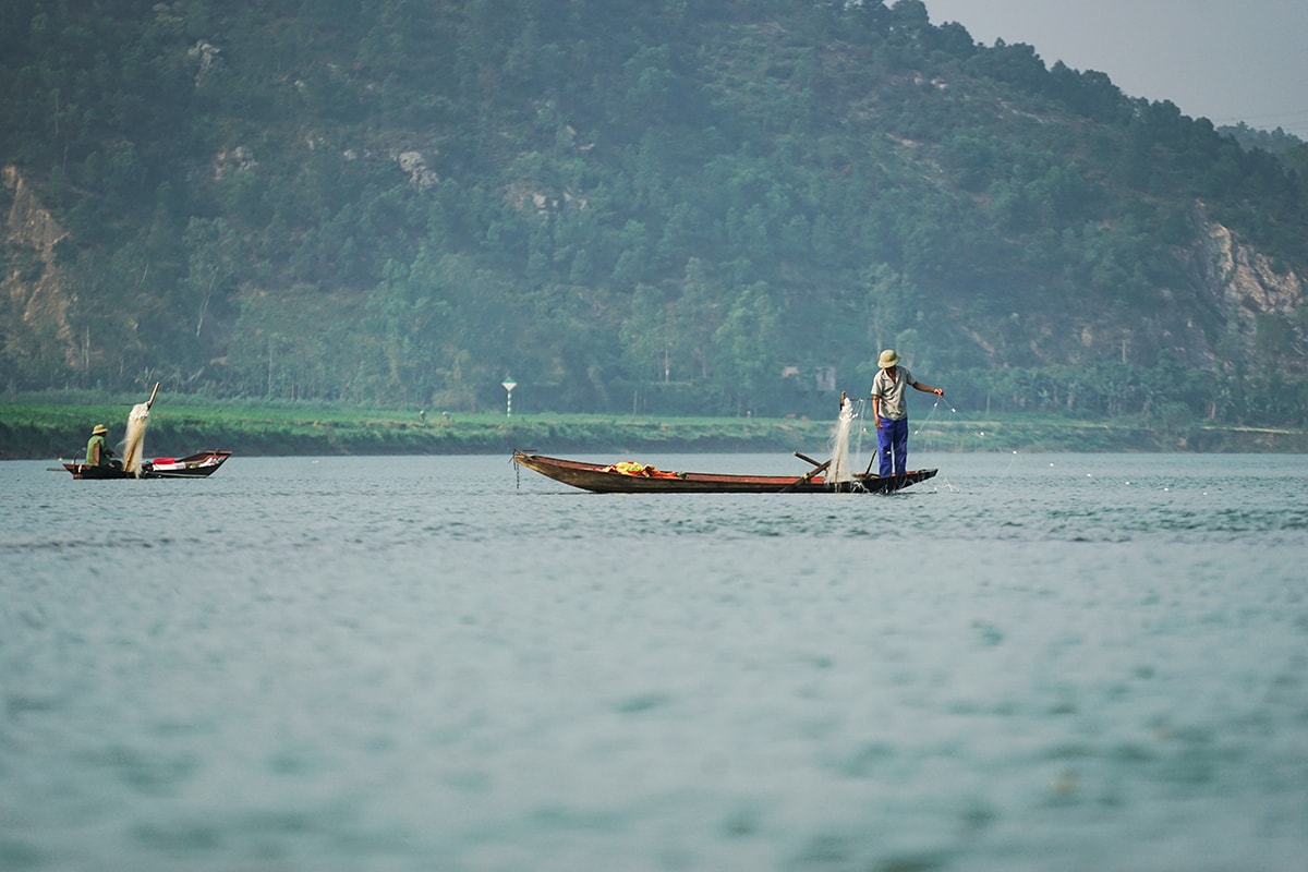 đang mùa đánh cá mòi. Ảnh: Trung Hà