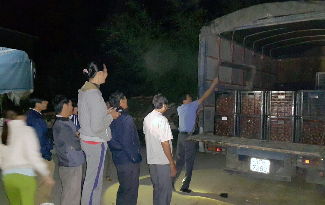 Chuyến xe chở cà chua đầu tiên thu mua về hệ thống siêu thị Big C -Ảnh: P.V