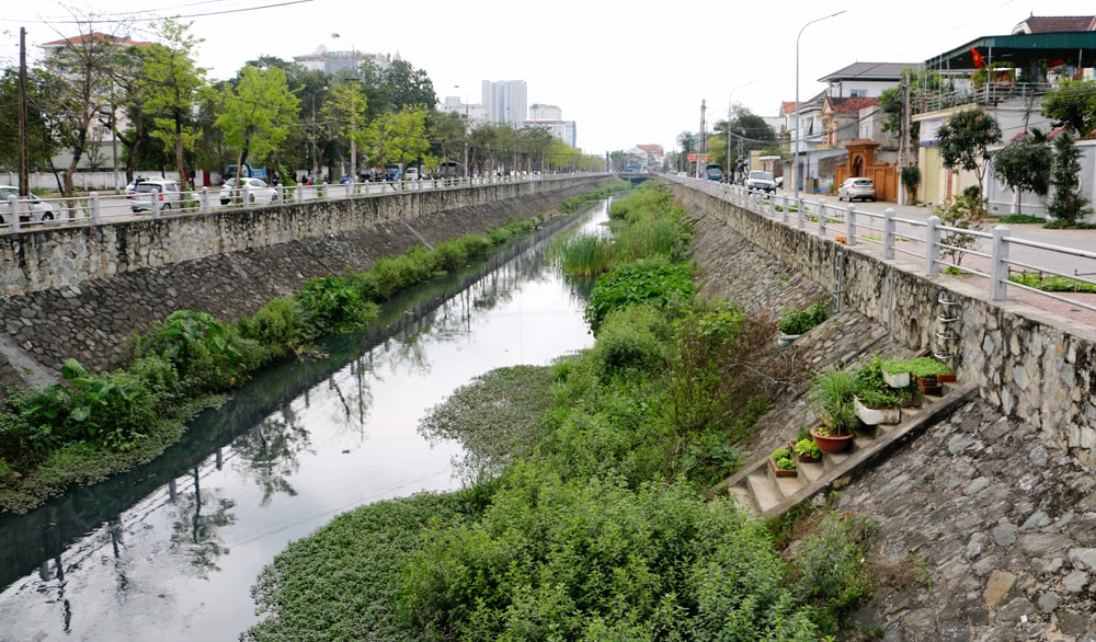 Dưới lòng kênh và 2 bên bờ kè đã bị cỏ dại và các cây thân gỗ phủ kín, nhiều nơi chiều rộng của dòng chảy chỉ còn khoảng 1m. Ảnh: Lâm Tùng