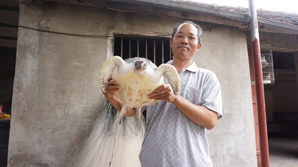 Ngư dân Hồ Văn Thuận (xã Quỳnh Long - Quỳnh Lưu) bắt được con rùa biển quý hiếm nặng 5kg. Ảnh Chu Diện