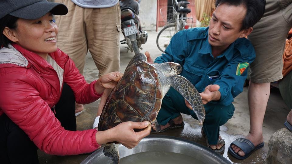 Sau khi nghe thông tin, một  số người dân đã tìm đến hỏi mua rùa nhưng ông Thuận kiên quyết không bán. Ảnh: Chu Diện