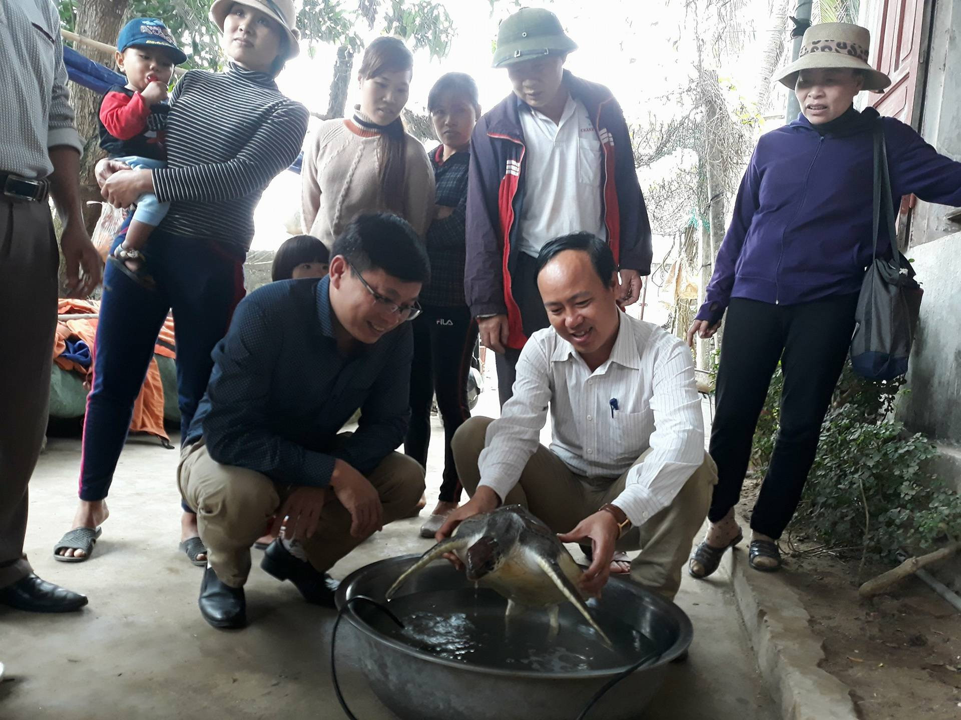 Đại diện Chi cục Thủy sản Nghệ An tiếp nhận cá thể rùa từ ngư dân. 