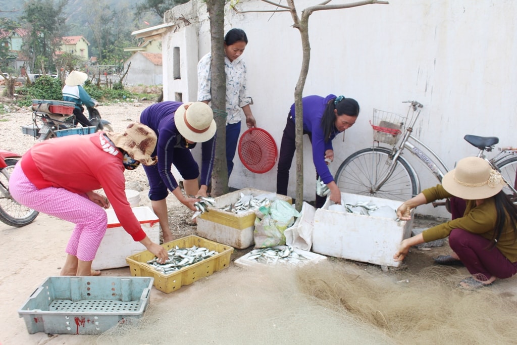 Biết tin thuyền về bến, thương lái đến tận nơi thu mua cá; với ngư dân, ngoài bán cho thương lái, họ có thể nhập cho các nhà hàng ngay bãi biển để phục vụ mùa du lịch. Ảnh: Việt Hùng