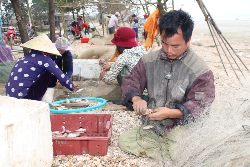 Với ngư dân Hồ Long, đây là chuyến biển trúng đậm cá từ sau Tết đến nay. Anh ra khơi từ 1 giờ sáng về bến lúc 7 giờ đánh được 200 kg cá trích có giá trị 5 triệu đồng; ngoài ra còn được nhiều loại cá bán được giá cao như cá sóc, cá đục, cá đù...; trừ chi phí xăng dầu, chuyền về bến sáng nay anh Long thu lãi khoảng hơn 4 triệu đồng. Ảnh: Việt Hùng