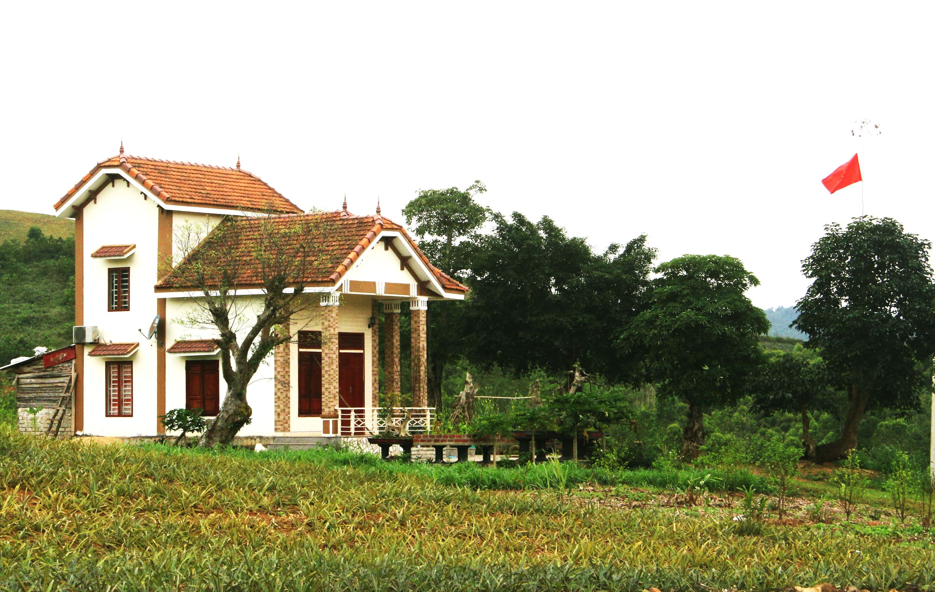 Một ngôi nhà của người dân xóm 22 được xây dựng bên tuyến đường 36 trông chẳng khác gì khu biệt thự sinh thái. Ảnh: Nhật Lân 