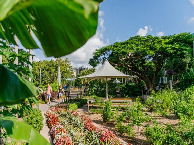 Công viên rau xanh miễn phí có tên Epicurious ở Brisbanem. Tại đây nhiều loại rau được trồng trên diện tích 1.500 m2 với những khoảng đất được quy hoạch gọn gàng và những chỗ ngồi nghỉ ngơi được bố trí xen kẽ. Những năm qua, đây chính là điểm đến nghỉ ngơi, nơi dã ngoại hấp dẫn tại thành phố này.