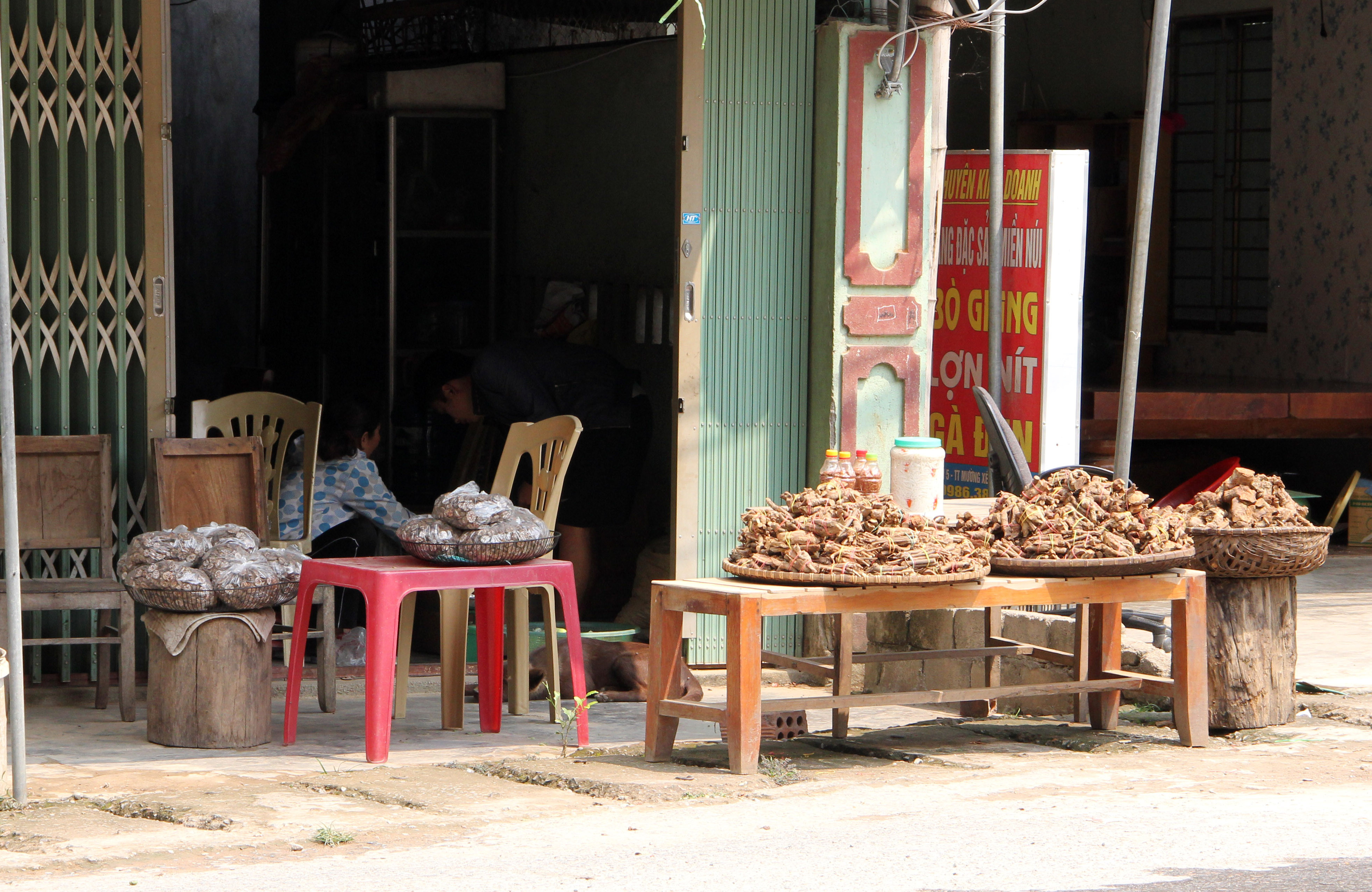Cây thuốc ngâm rượu được bày bán tại thị trấn Mường Xén huyện Kỳ Sơn. Ảnh Hồ Phương
