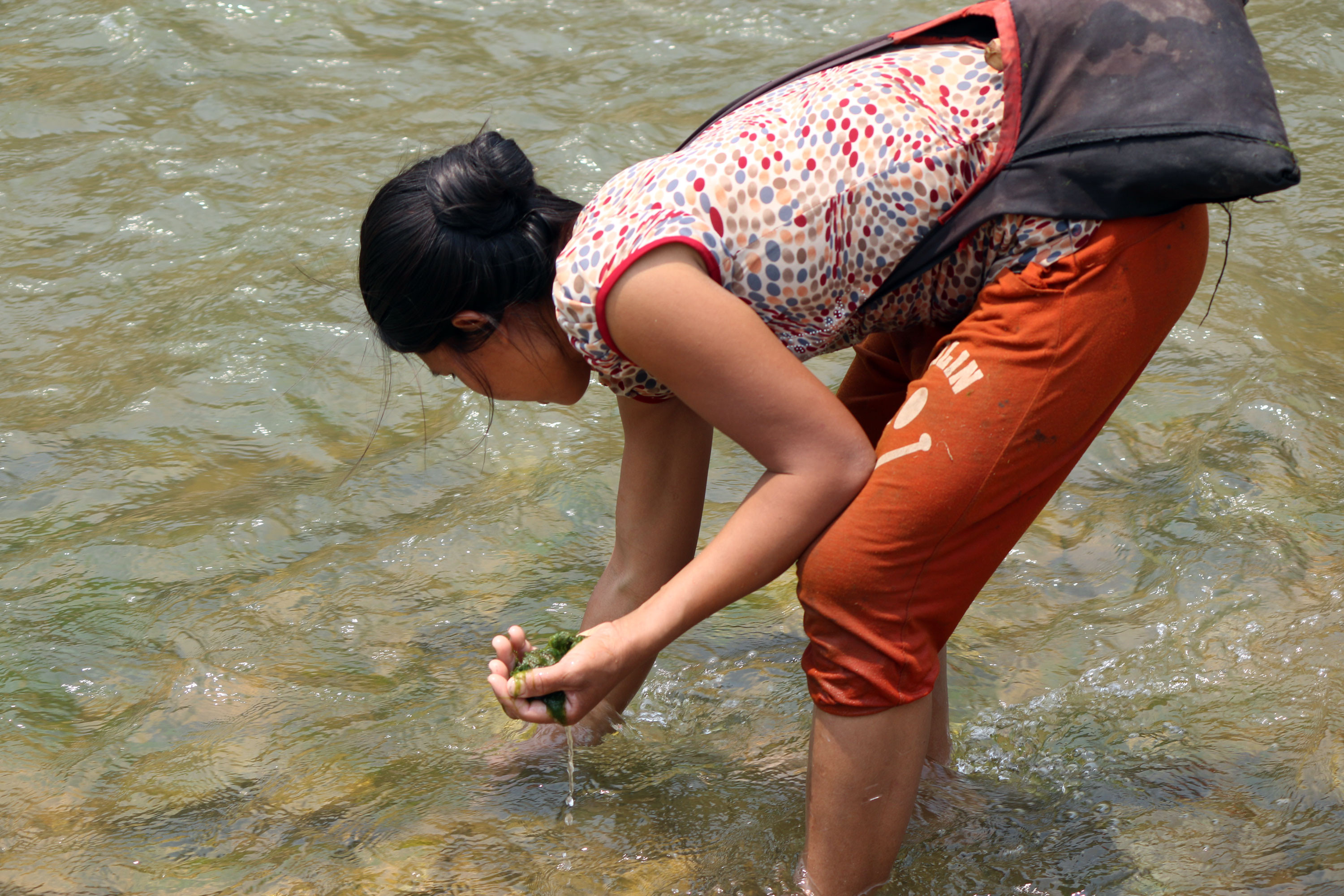 Người phụ nữ Khơ mú nhặt rêu trên sông Nậm Mộ. Ảnh: Đào Thọ