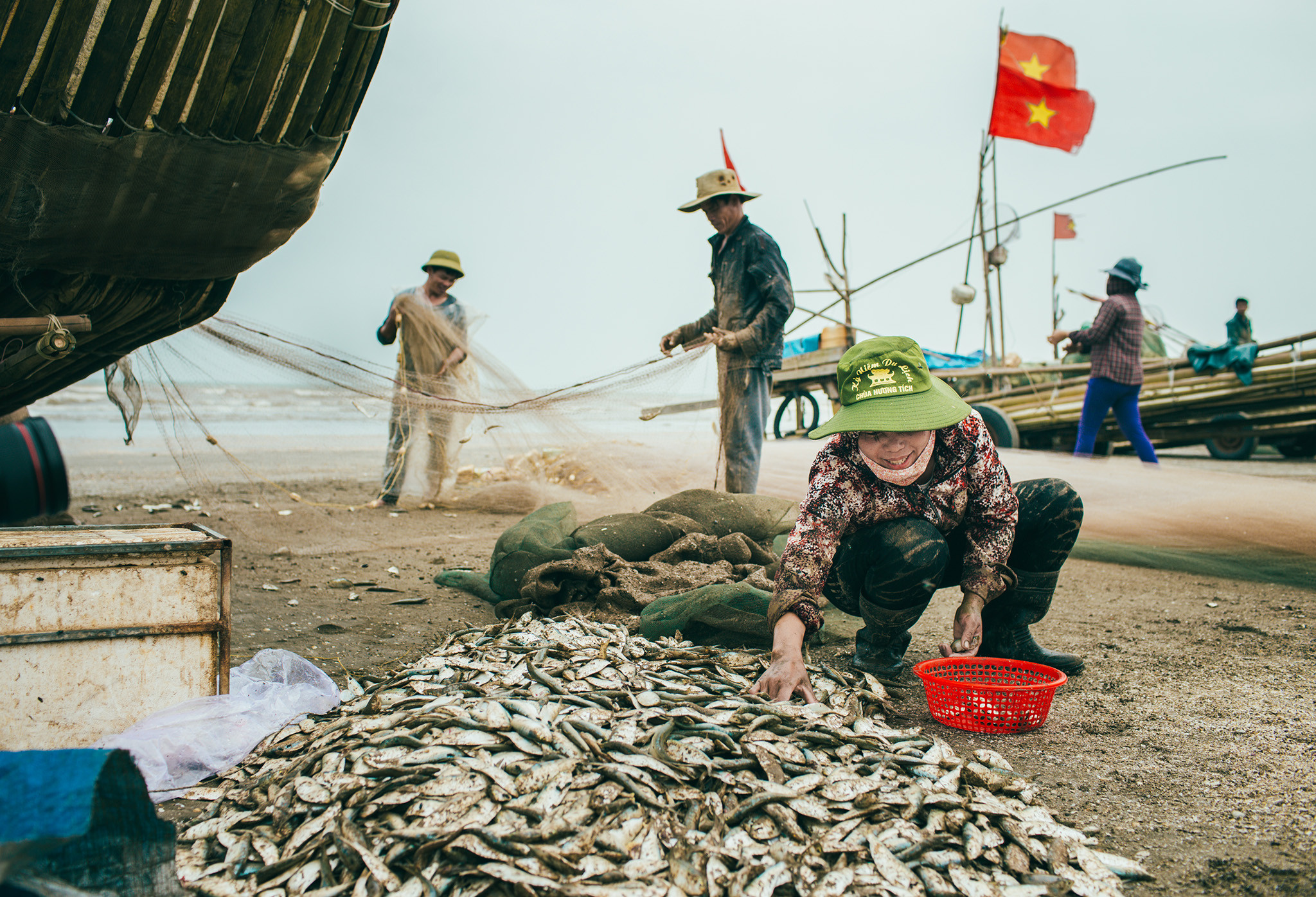 Sau khi gỡ cá ra khỏi lưới, cá tràn dưới cát biển. Mọi người cugnf nhau nhặt cá. Ảnh: Kiên Rose