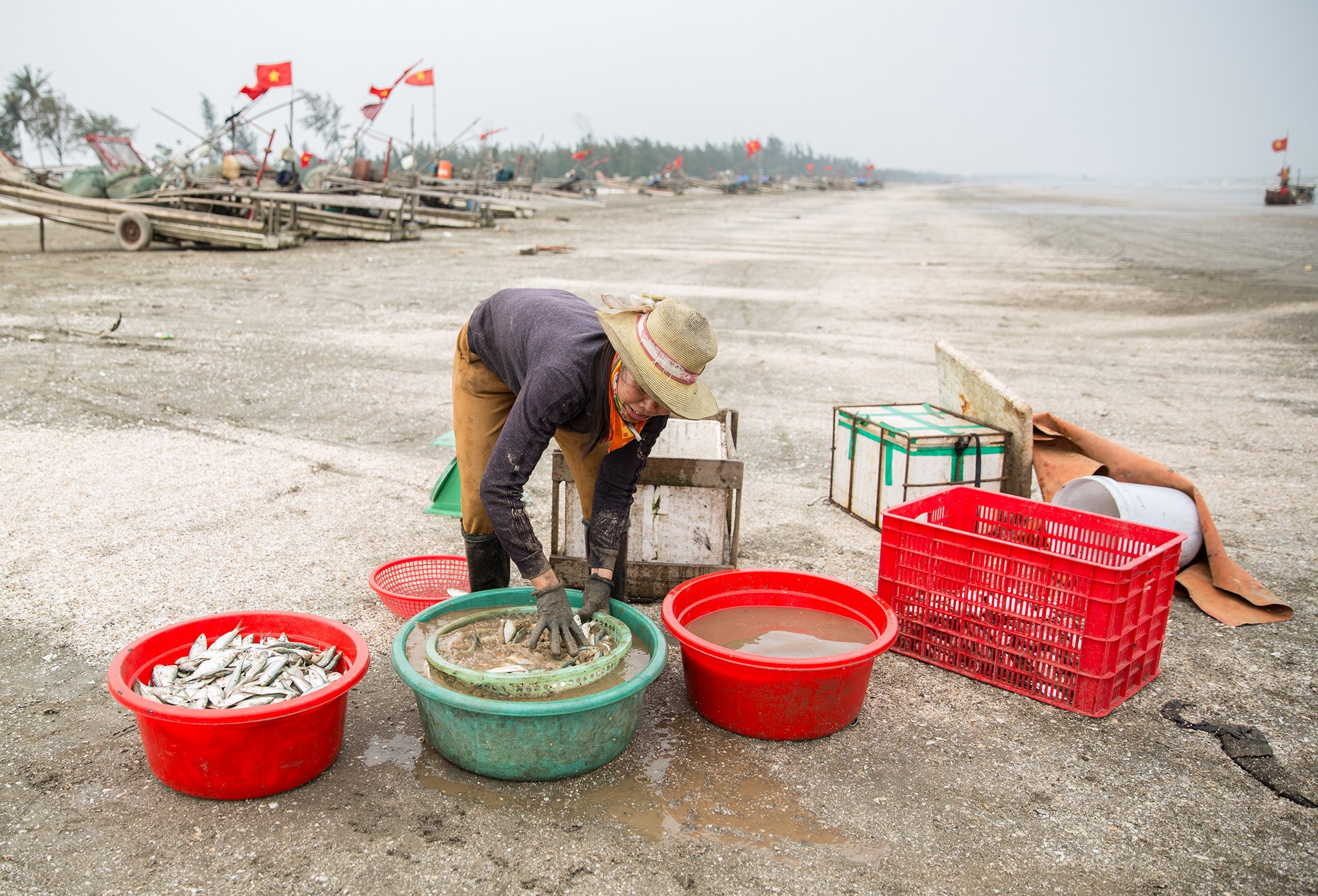 Rồi rửa sạch cá. Ảnh: Hải Vương