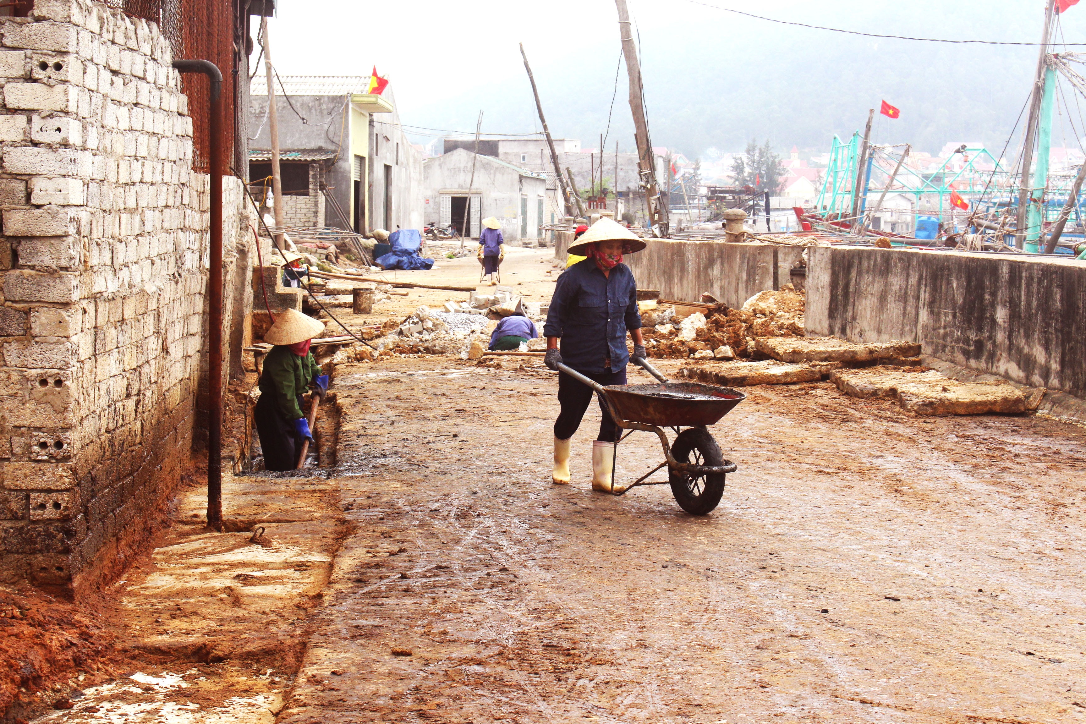 Hoạt động sản xuất, kinh doanh của các doanh nghiệo dịch vụ hậu cần nghề cả. Ảnh: Đ.T