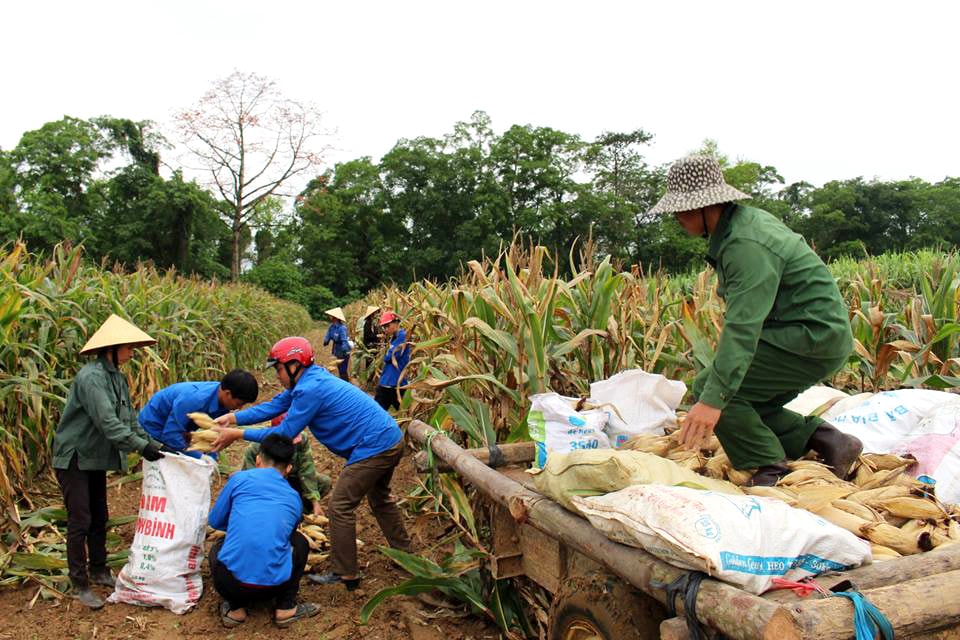 Đây là những hoạt động thiết thực của Đoàn xã Hùng Sơn trong tháng thanh niên