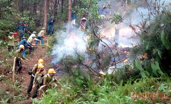 Chữa cháy rừng tại Nam Tân, Nam Đàn. Ảnh Tư liệu