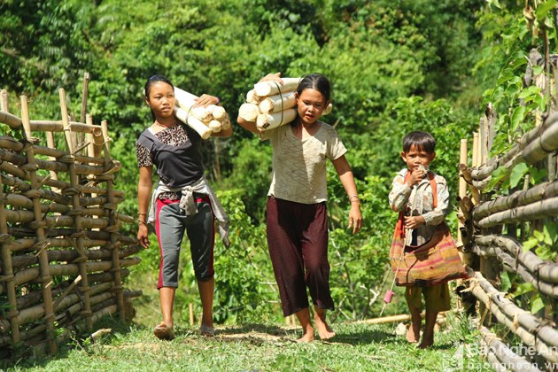 Người dân Đan Lai lâu nay sinh sống bằng những phương thức thô sơ, giản đơn. Ảnh: T.L