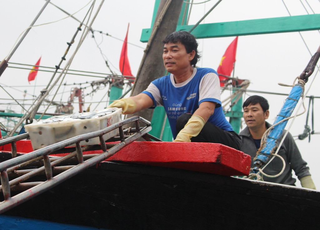 Ngư dân nhộn nhịp đón “lộc biển” trên cảng cá lạch Quèn (xã Tiến Thủy, Quỳnh Lưu).