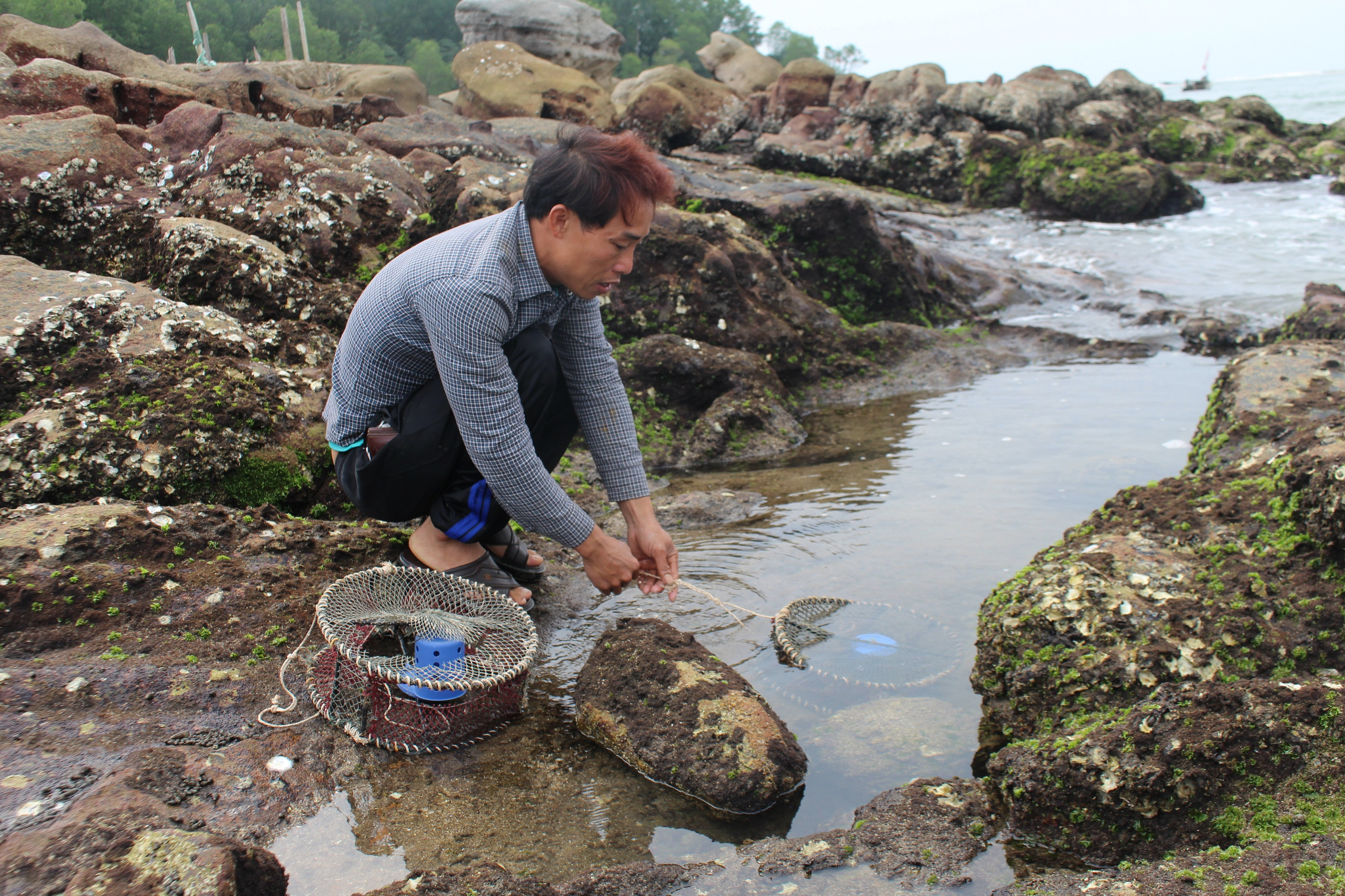 Để săn cua biển, ngư dân Trần Xuân Âu ở xã Quỳnh Lập (thị xã Hoàng Mai) sử dụng bẫy « bóng cua » thả vào các hang đá. Ảnh: Việt Hùng