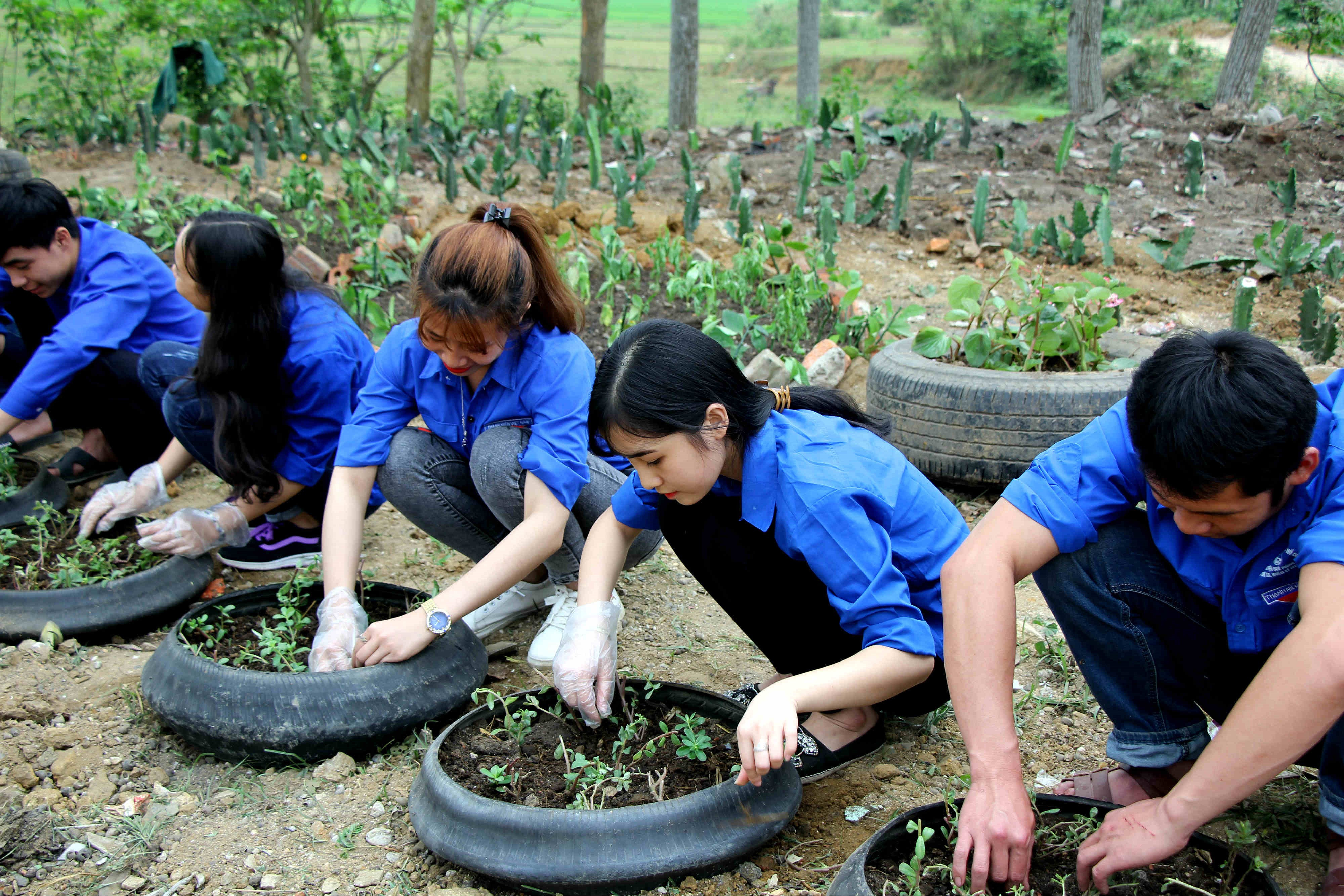 Một vườn hoa thanh niên đã hình thành bởi sự sáng tạo của các bạn trẻ xã Mường Nọc. Ảnh: Hùng Cường