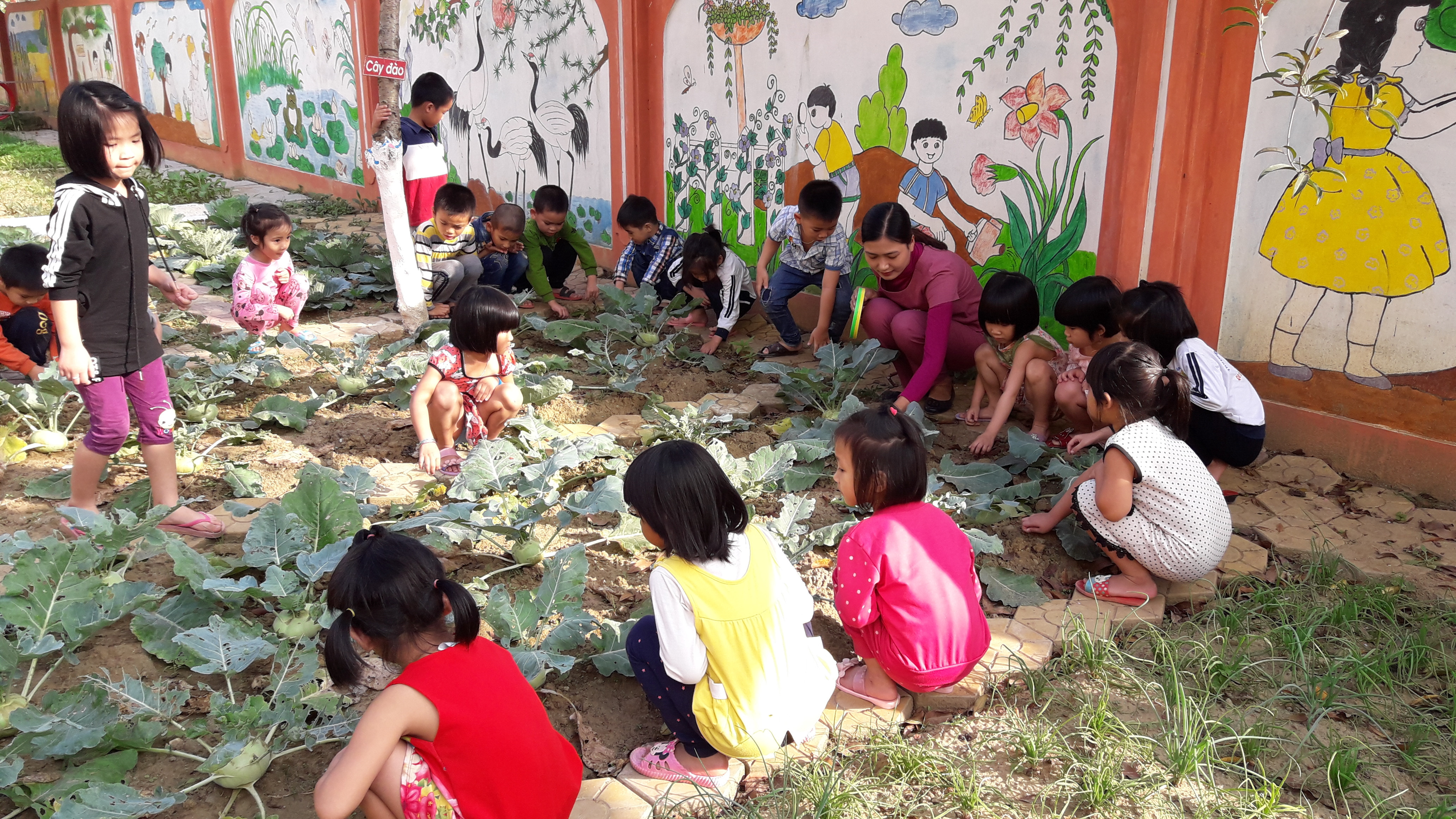Cô Hương và các cháu trong một giờ học ngoại khóa tại vườn rau xanh. Ảnh: Phan Giang
