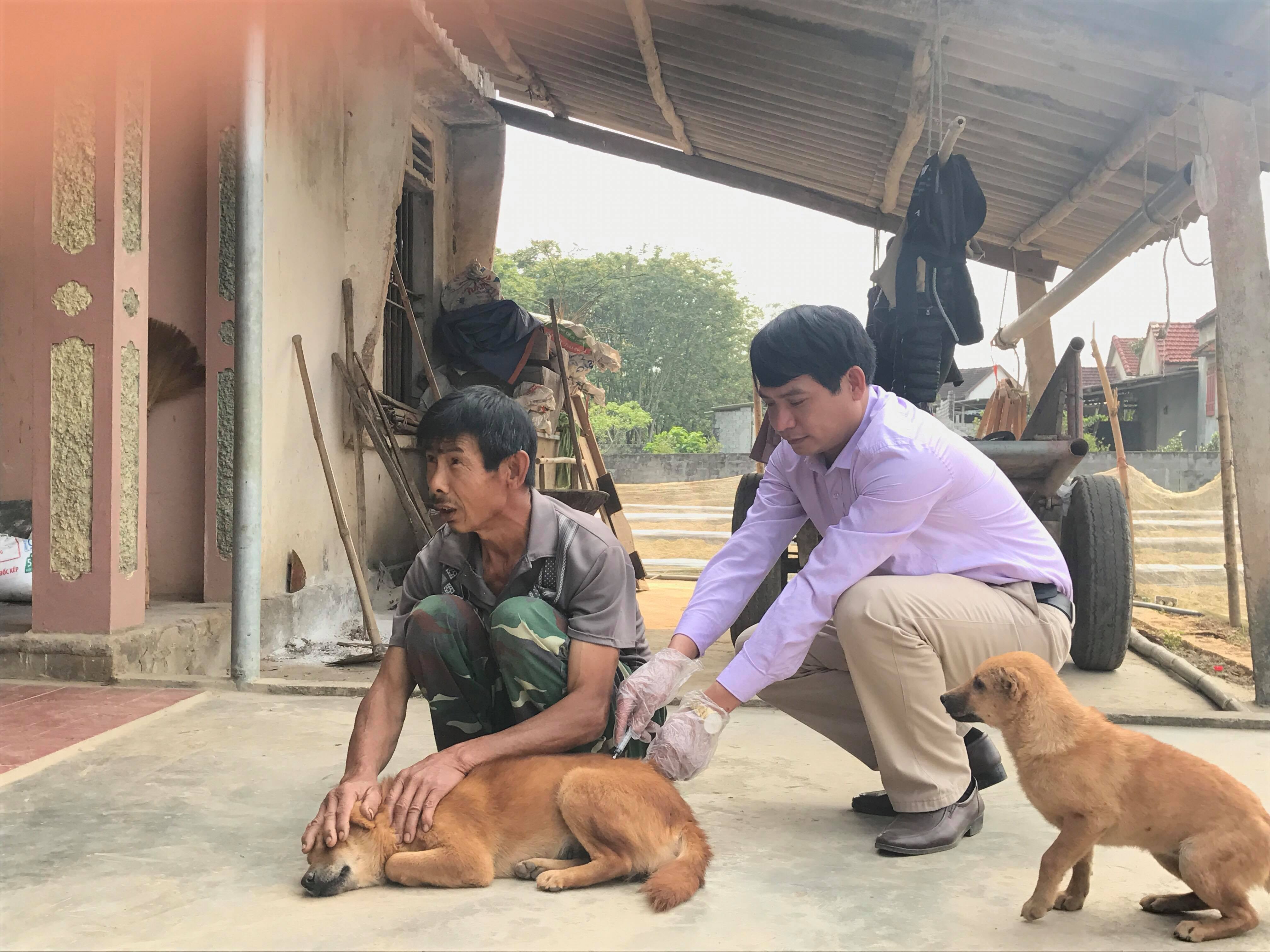 Cán bộ thú y huyện Nghĩa Đàn tiến hành tiêm phòng cho đàn chó. Ảnh: Minh Thái 