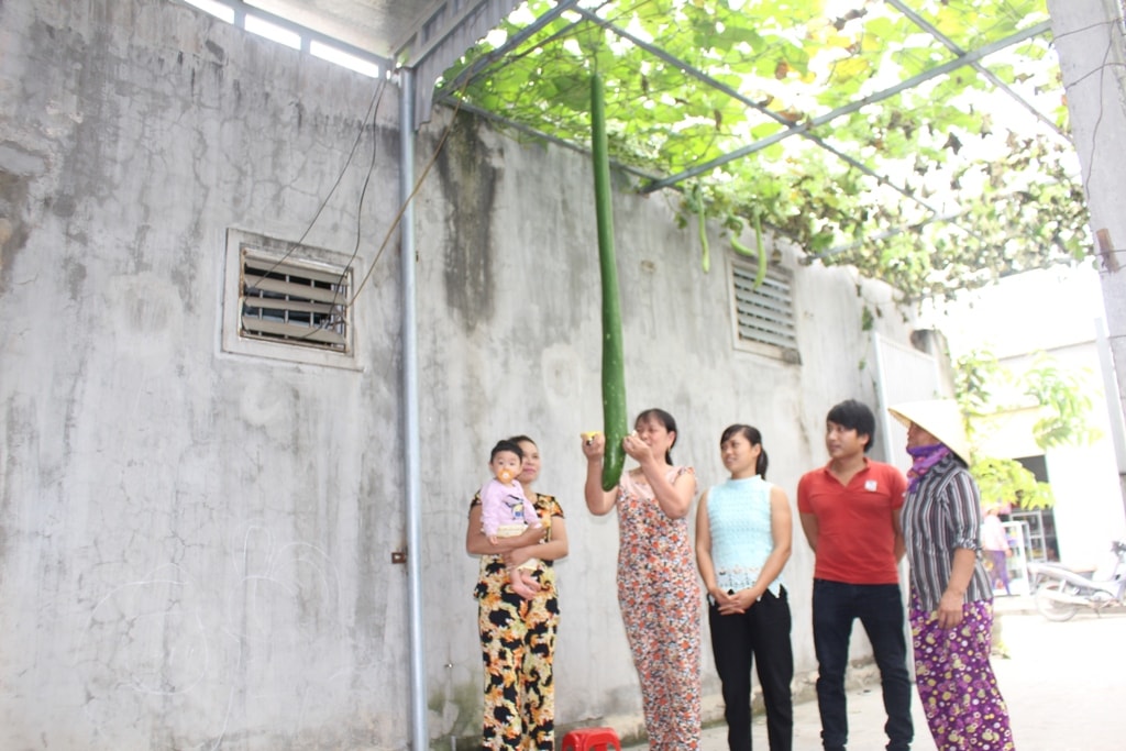 Nhiều người dân tỏ ra thích thú và bất ngờ khi lần đầu tiên chiêm ngưỡng quả bầu dài kỷ lục như vậy. Ảnh Việt Hùng.