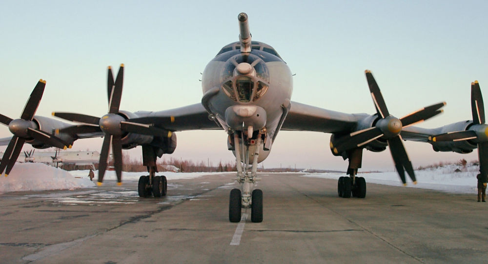 Máy bay săn ngầm tầm xa Tu - 142. Ảnh: Sputnik