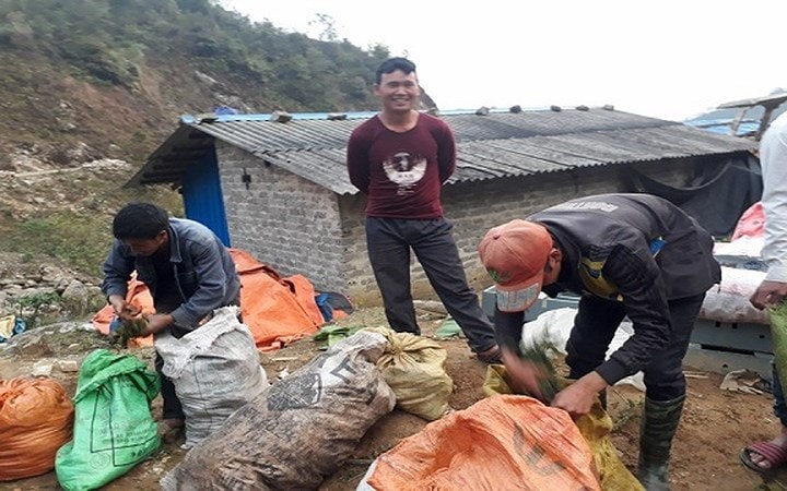 Rau dớn được bà con vùng cao hái tư rừng về đóng thành từng bao tải, bán cho thương lái Trung Quốc kiếm thêm thu nhập. (Ảnh: Dân Việt)