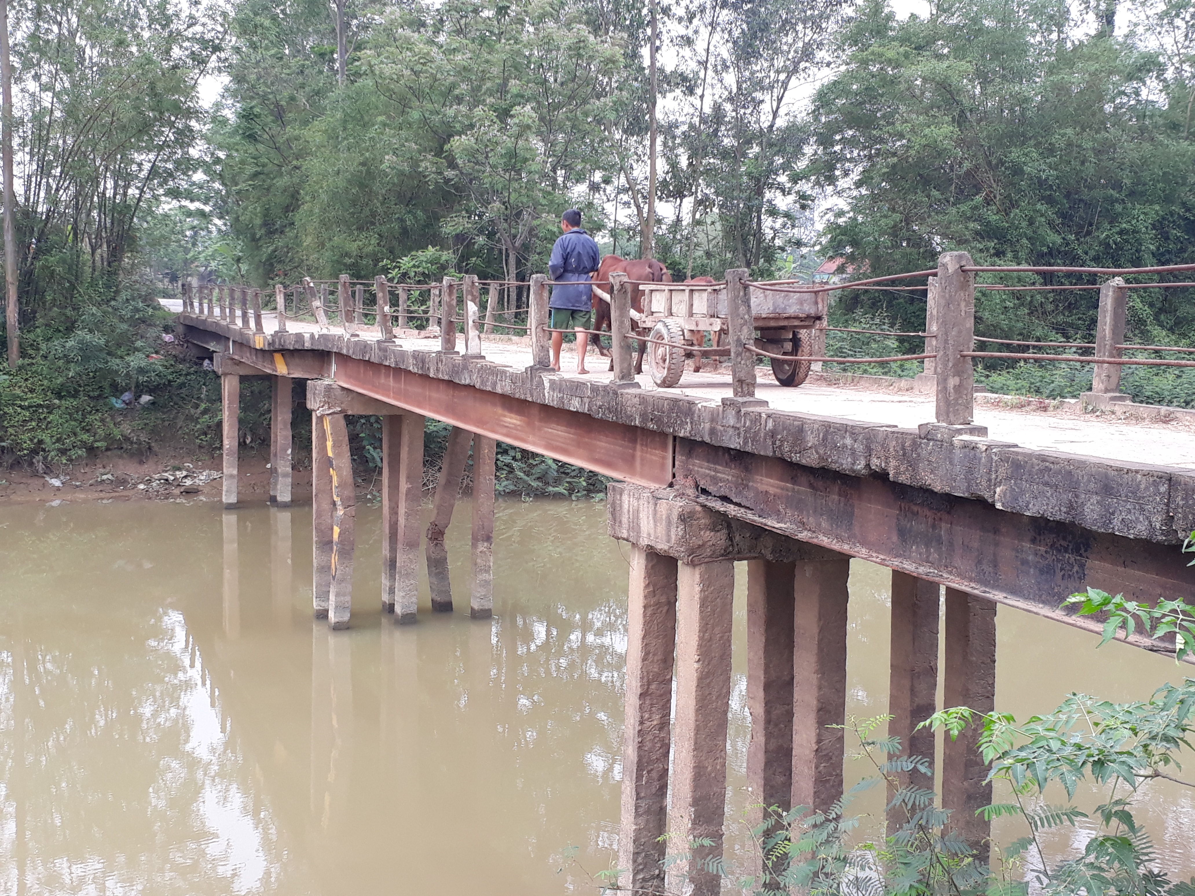 Chiếc cầu có tuổi đời 40 năm, hiện đã xuống cấp nhưng vẫn phục vụ nhu cầu đi lại của gần 400 hộ dân xã Nam Lĩnh (Nam Đàn). Ảnh: Nguyễn Quyền 