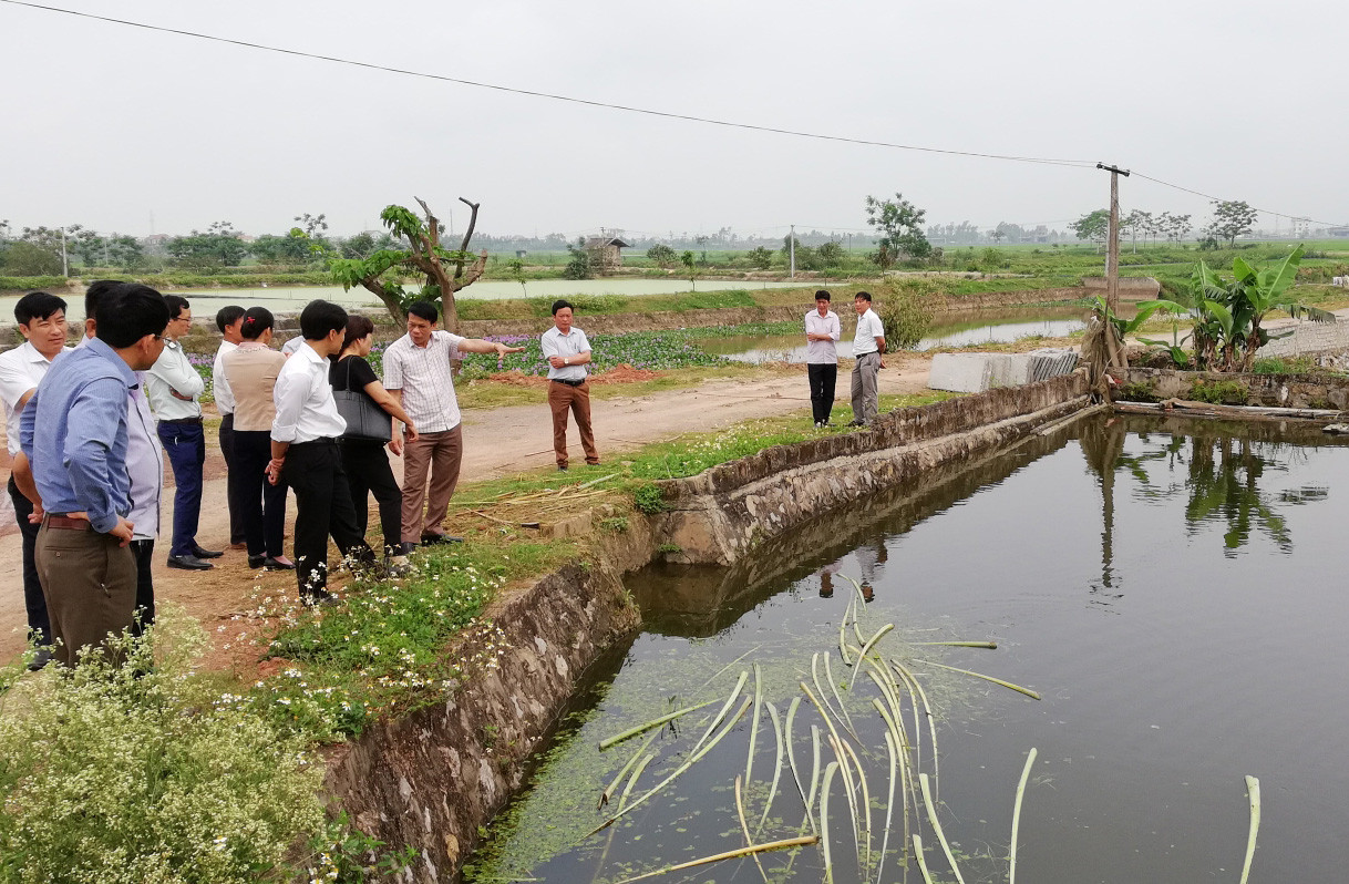 Đoàn công tác của Thường trực HĐND tỉnh giám sát thực tế hoạt động của HTX nông nghiệp Diễn Tân