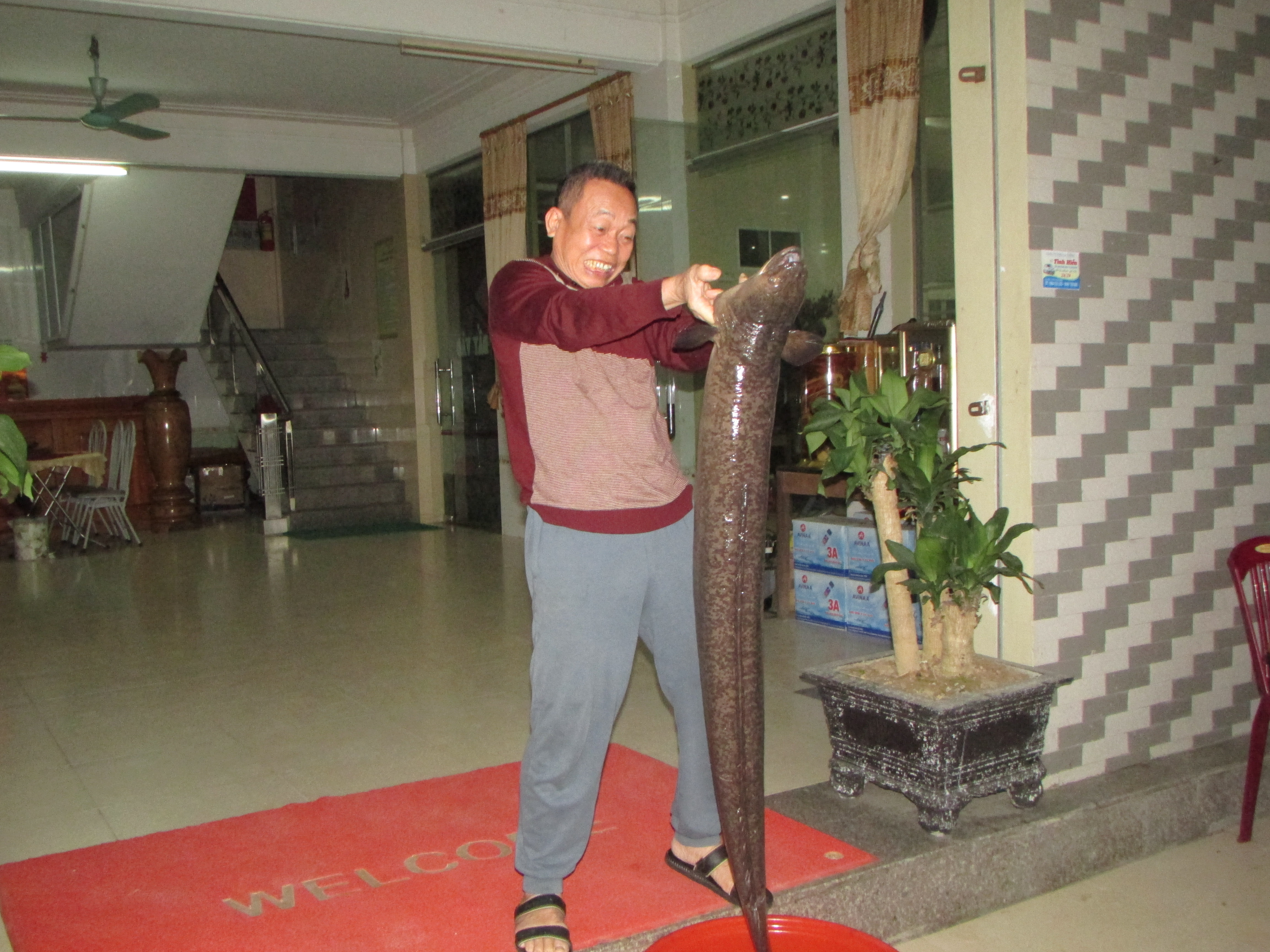 Con cá lệch có chiều dài 1,6m, nặng 14kg được đánh bắt trên sông Lam. Ảnh: Bá Hậu.