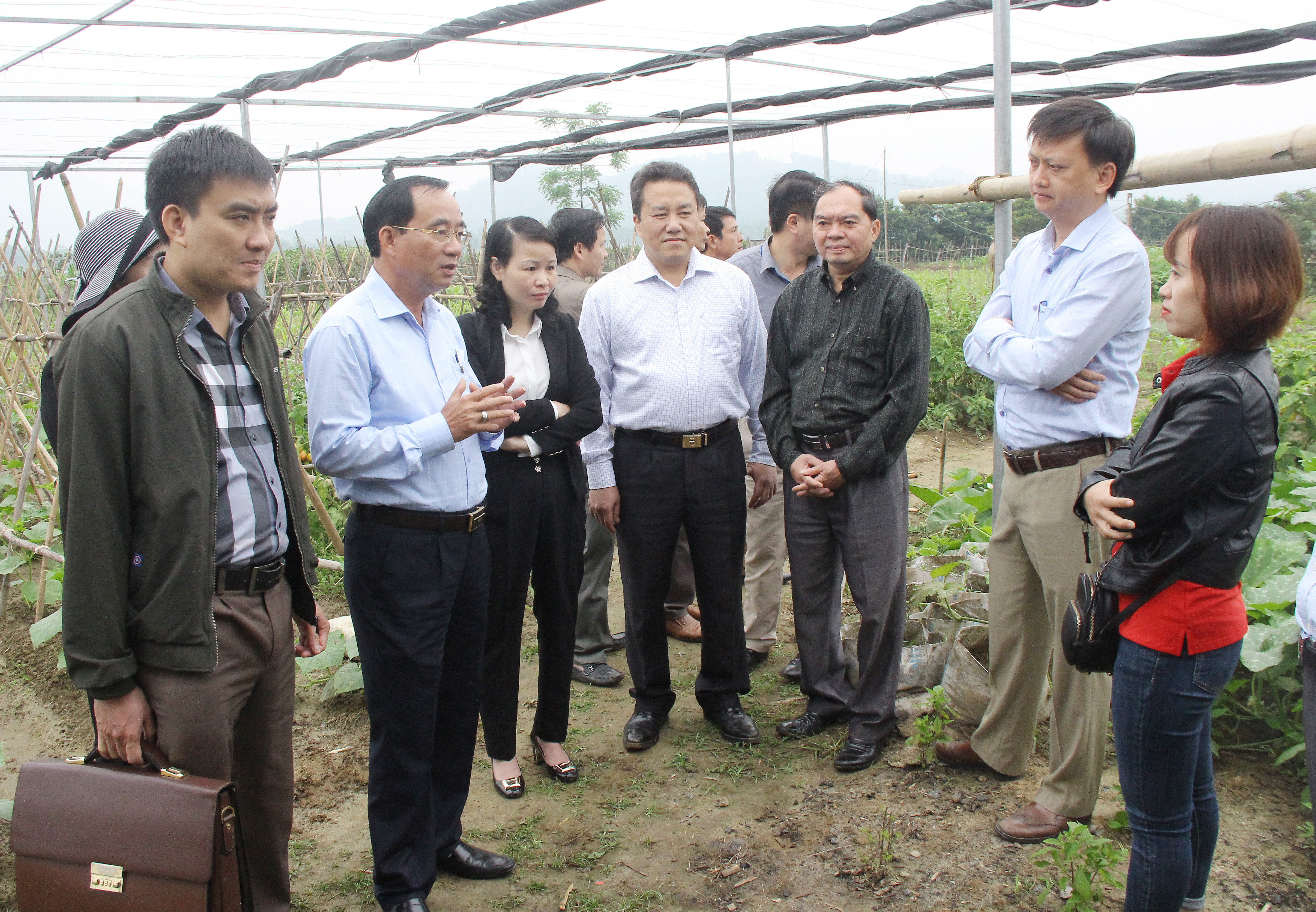 Đoàn công tác Thường trực HĐND tỉnh tìm hiểu hiểu quả hoạt động HTX sản xuất, kinh doanh dịch vụ nông nghiệp Quế Phong