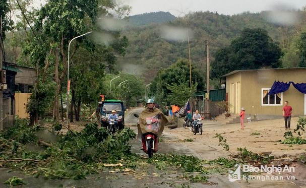 Nhiều cây cối ở Tương Dương bị gãy đổ do mưa đá kèm lốc xoáy. Ảnh: May Huyền